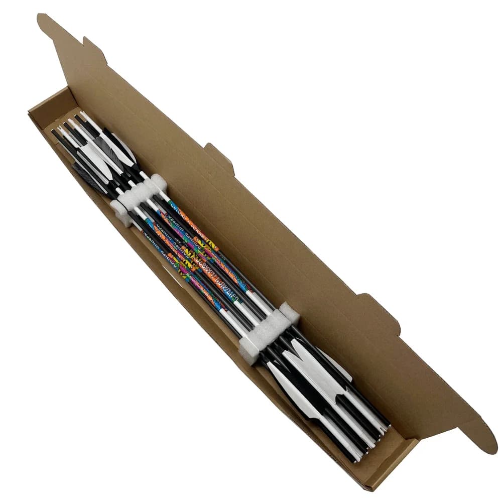 6 flèches carbone 30/32 pouces pointes interchangeables pour pêche à l'arc compound/récursif