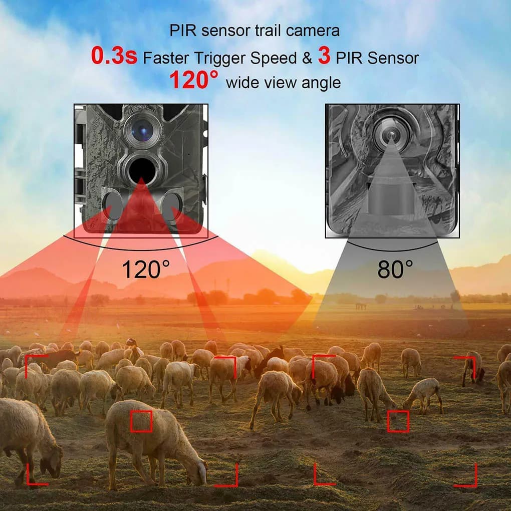 HC-810A 20MP caméra chasse filtre IR étanche IP65 pour qualité image wildlife optimale