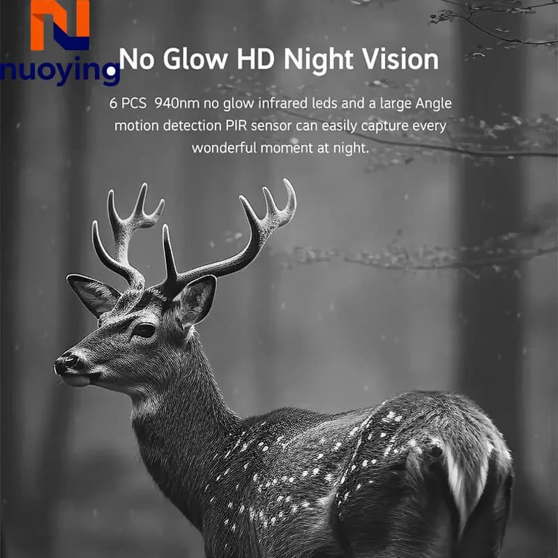 Caméra de piste solaire 4MP 4G avec détection PIR, vision nocturne IR pour observation de la faune