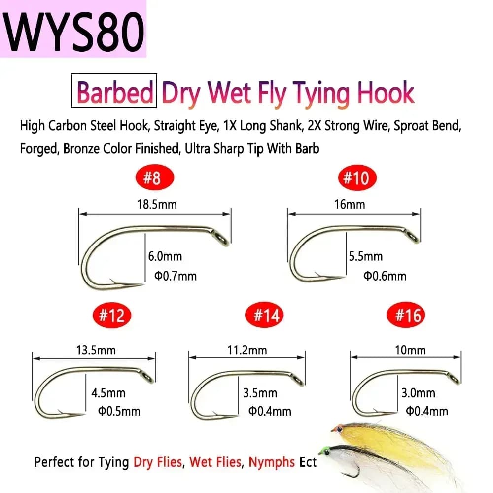 Hameçons de pêche à la mouche Bimoo 100 pièces acier haut carbone, sèches, noyées et nymphes,
