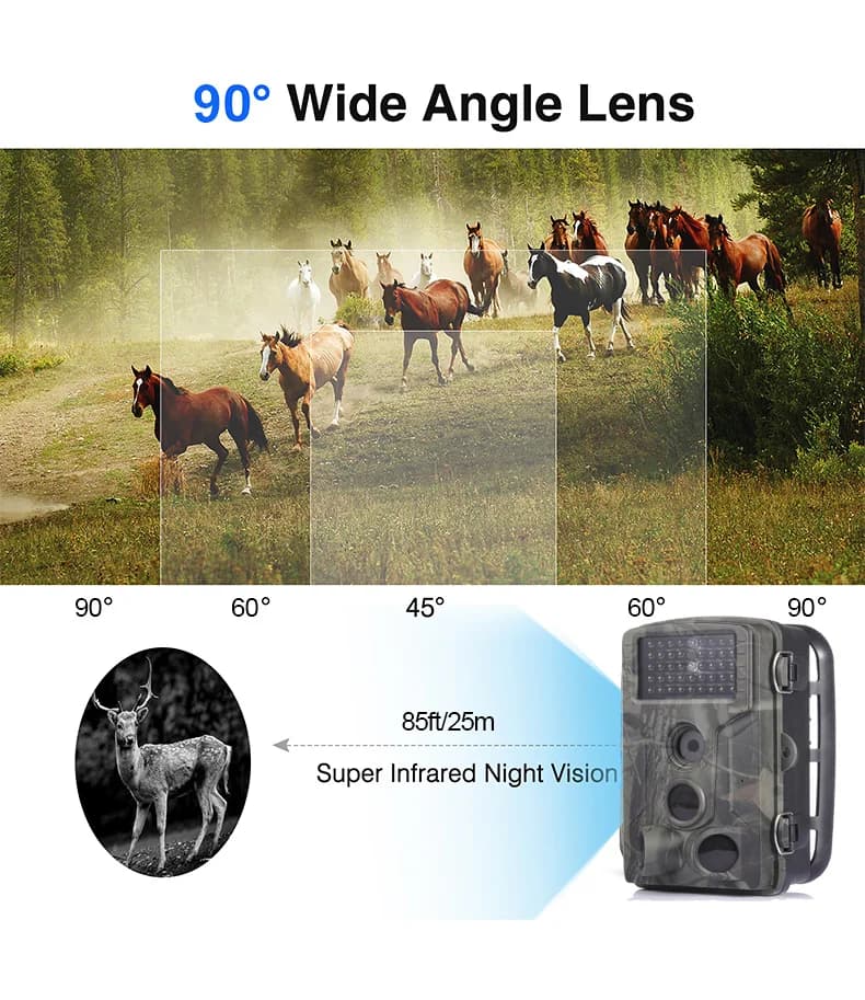 Caméra trail extérieure 20MP 1080P HD étanche wildlife hunting surveillance game vision nocturne infrarouge