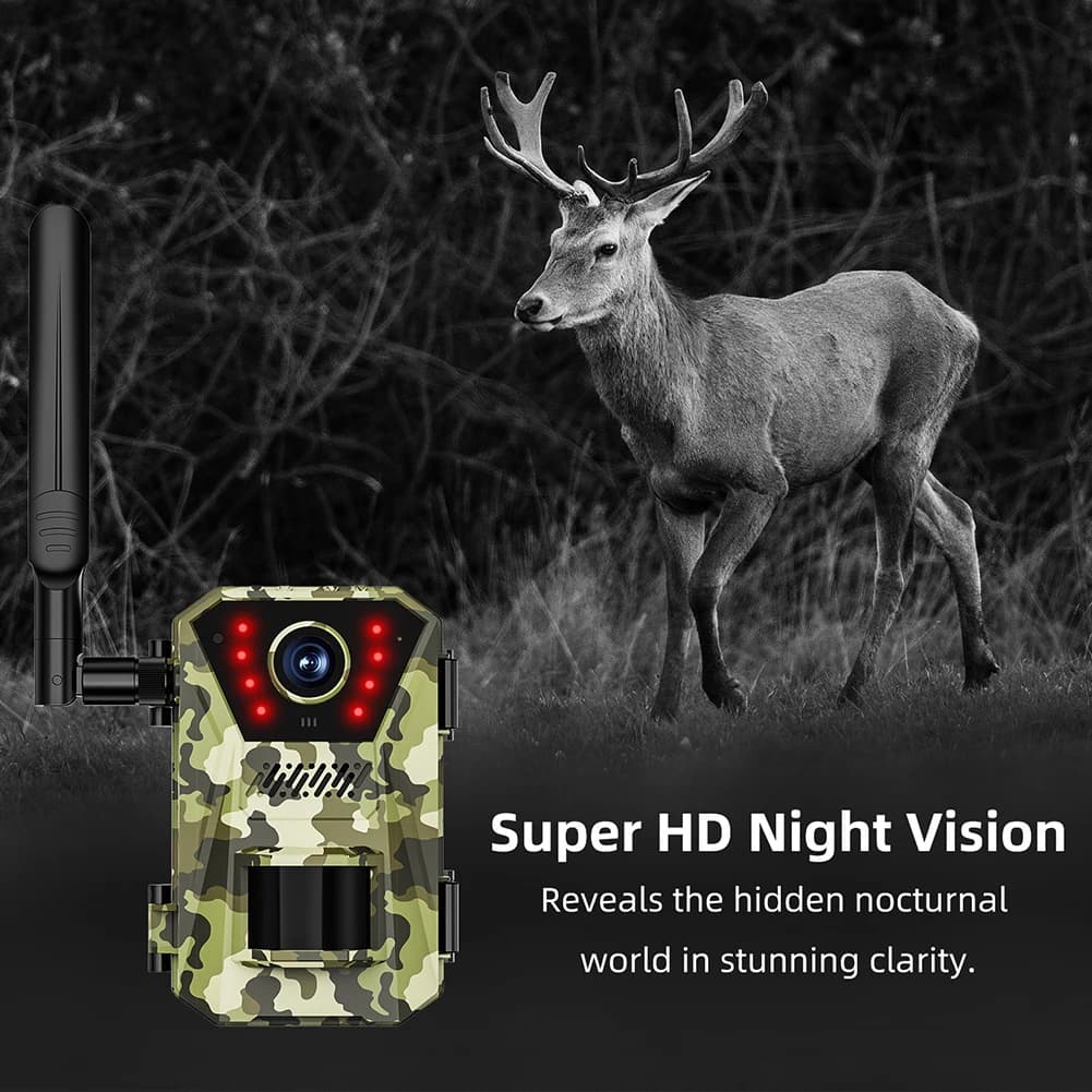 Caméra de chasse 4G solaire étanche vision nocturne streaming vidéo direct surveillance faune