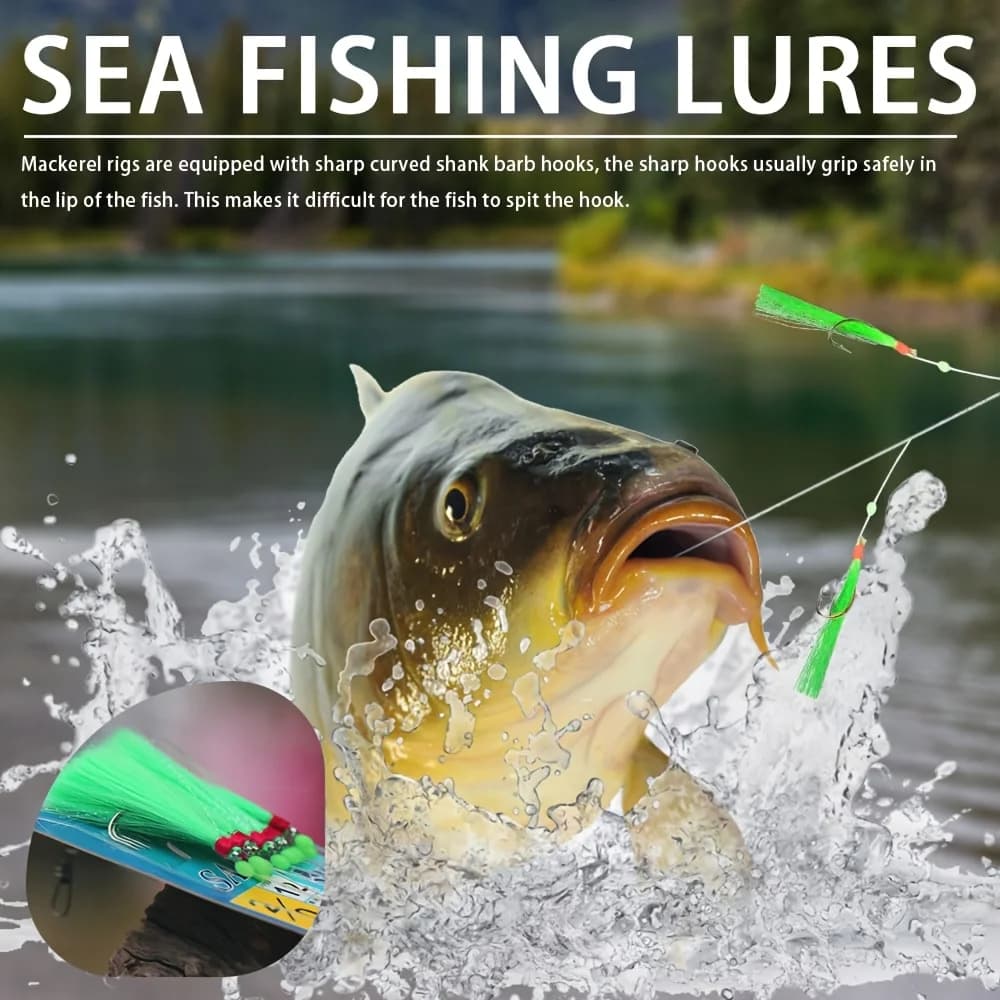 Kit de pêche Sabiki Takbas 10 hêches appâts, leurres maquereau mer et eau douce, matériel de pêche durable