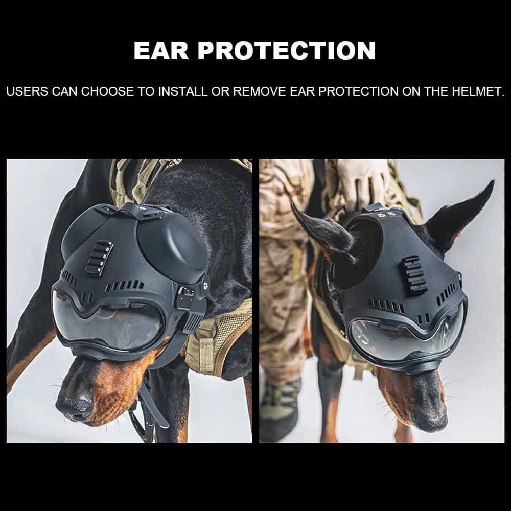 Casque de protection tactique pour chien de chasse - Équipement sécurité canin pêche