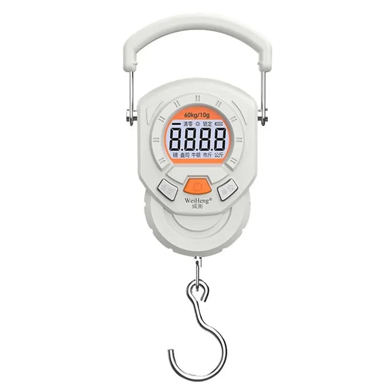 Balance électronique pesée bagages pêche voyage cuisine outils multifonction portable précise
