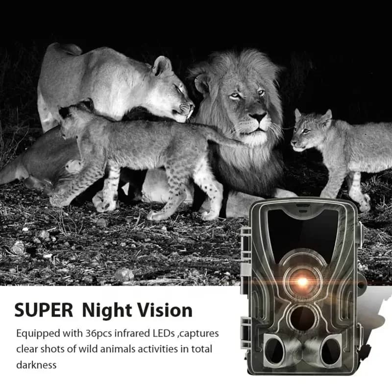 Caméra de chasse HC-801A 20MP HD 1080P vision nocturne étanche pour observation faune et sécurité
