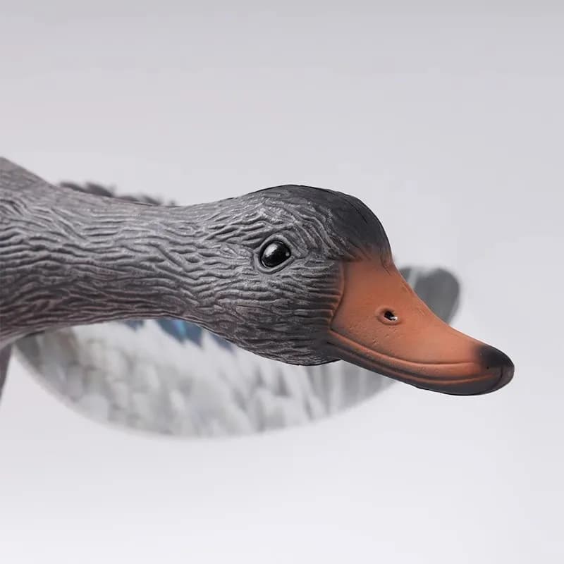 Leurre canard sauvage télécommandé résistant à l'usure - modèle mâle ou femelle pour chasse