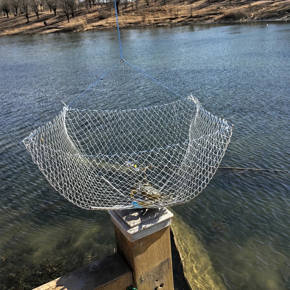 Cage à crabes anti-morsure 60cm avec filet élastique - Équipement professionnel pêche sous-marine