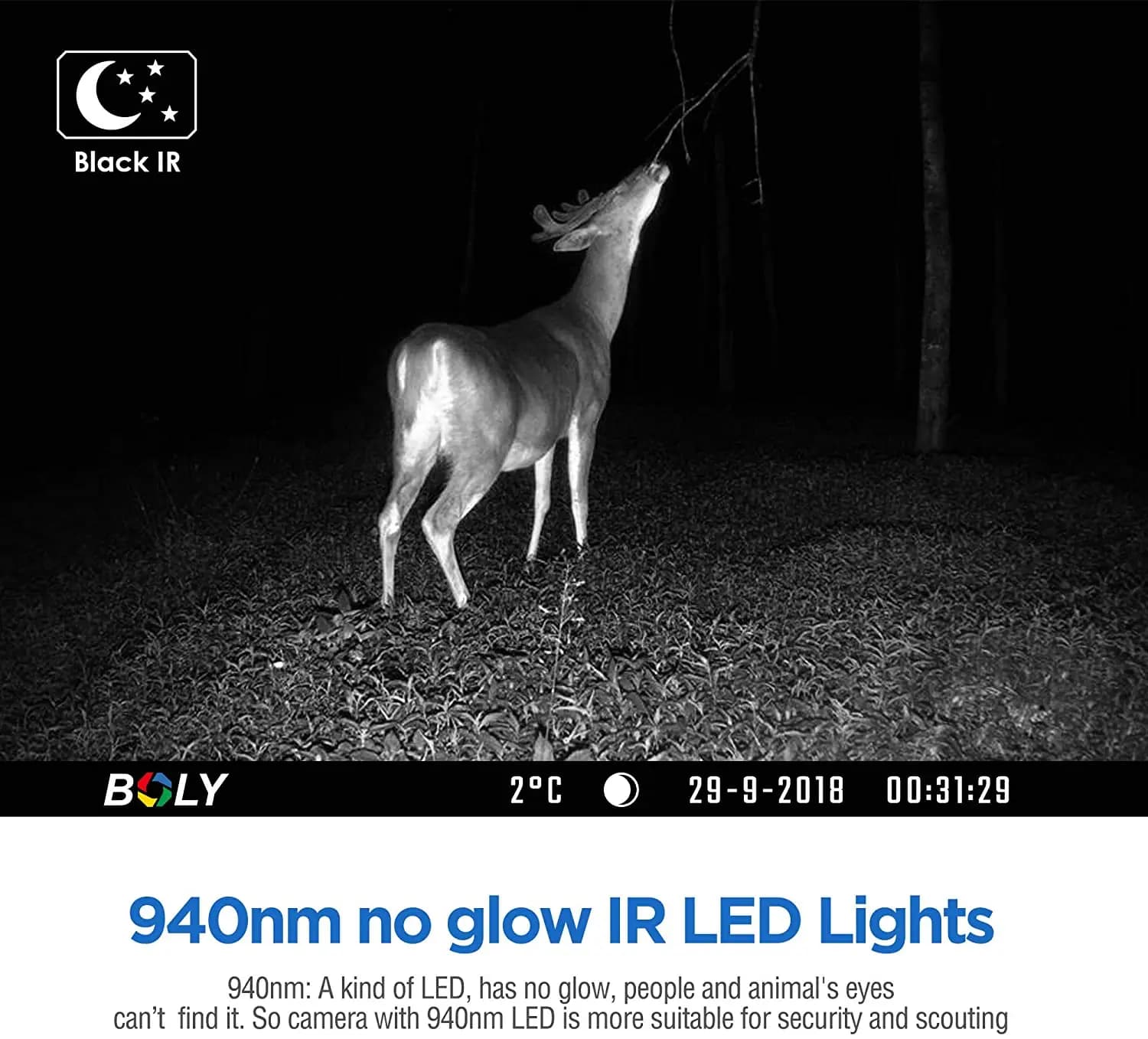 BolyGuard BG636 caméra faune 36MP 1080P étanche IP68 prête solaire pour chasse extérieure