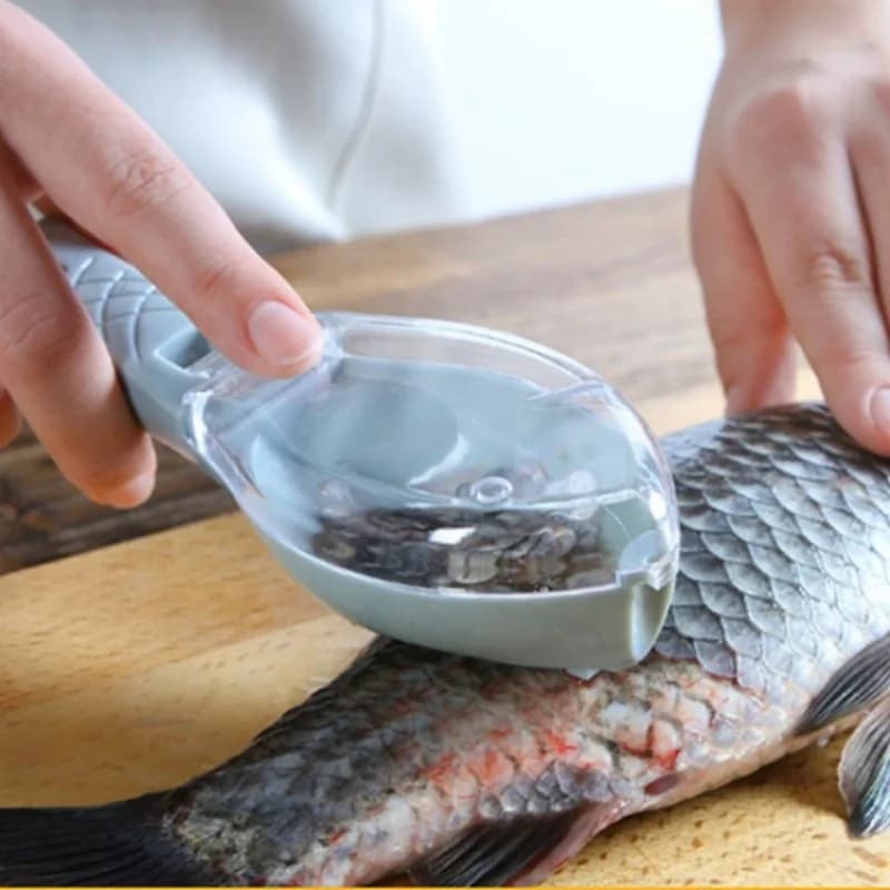 Racleur à écailles de poisson manuel avec couvercle, pour nettoyer et entretenir votre matériel de pêche