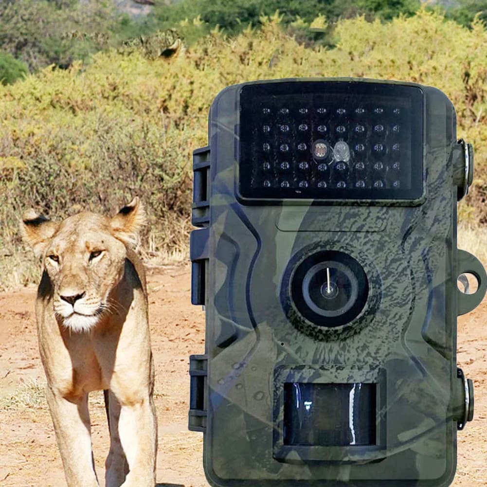 Caméra de chasse étanche vision nocturne infrarouge pour observation animaux et chasse extérieure faune