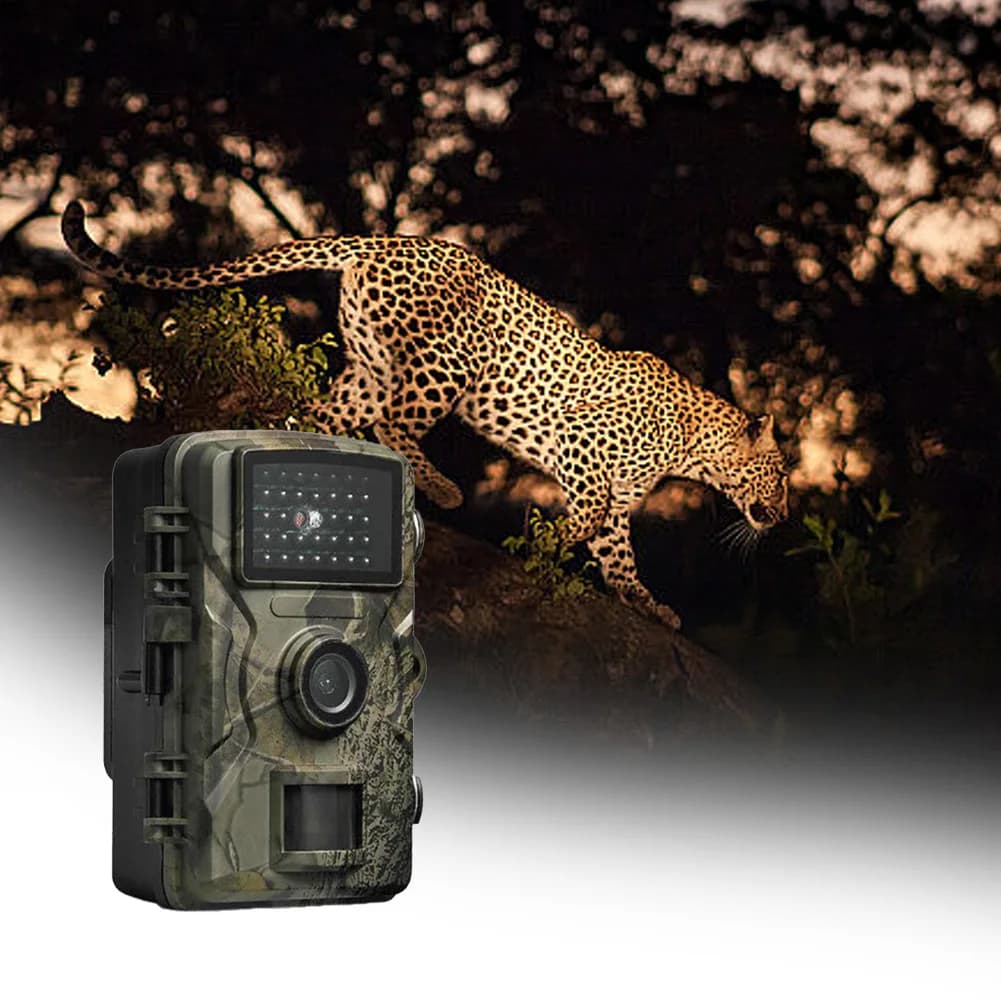 Caméra de piste de chasse à détection de mouvement avec vision nocturne infrarouge pour observation animale