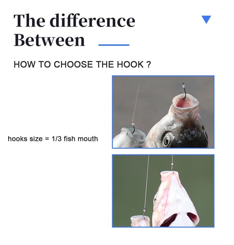 10 hameçons doubles acier carbone avec bas de ligne 45cm pour la pêche à la carpe