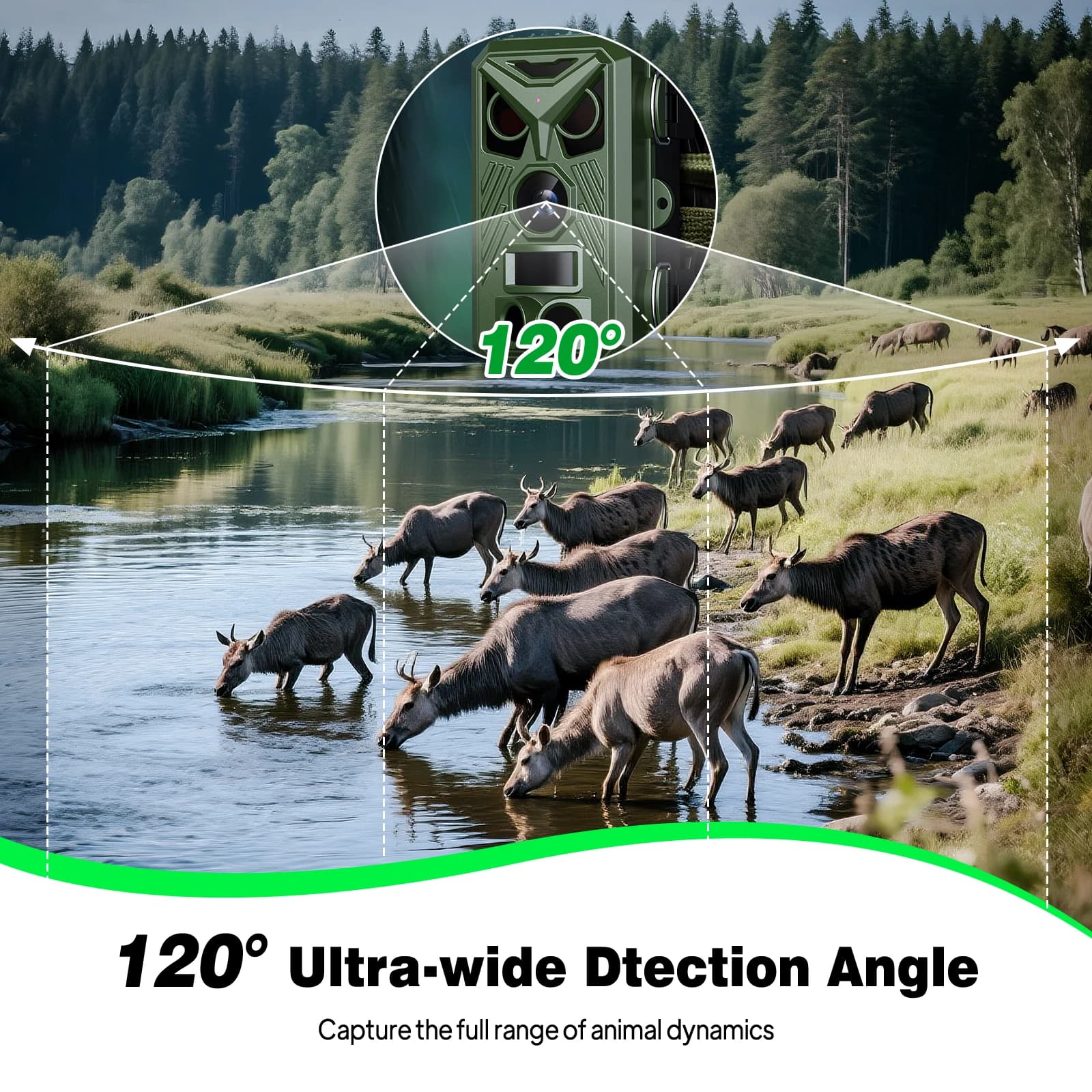 Caméra trail 4K avec déclenchement 0.8s et écran IPS 2.0'' pour reconnaissance animalière extérieure étanche