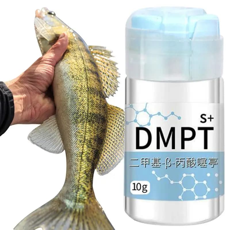 Gel attractant poissons 10g senteur puissante soluble naturel pour crevette carpe tilapia