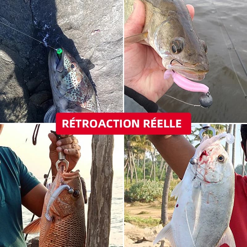 Leurre Souple Meredith Crazy Shiner 70-130mm, Appât Artificiel Wobbler pour la Pêche du Bar et Carnassiers