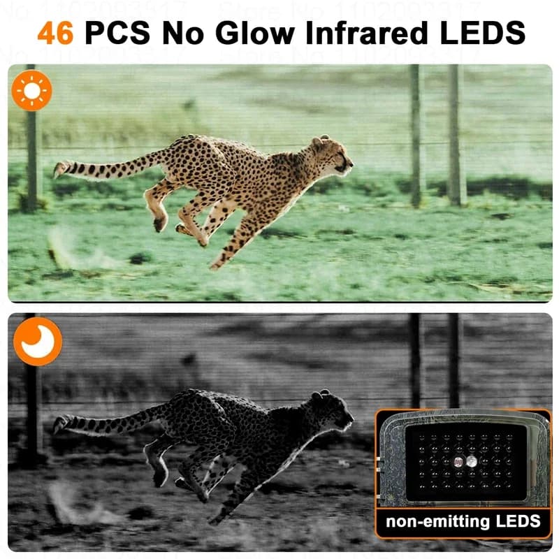 Caméra trail 16MP 1080P étanche vision nocturne infrarouge pour surveillance faune et pêche