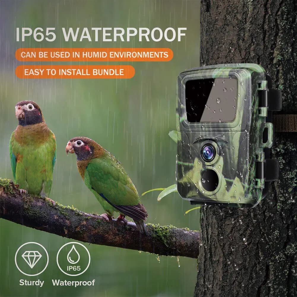 Mini caméra trail chasse vision nocturne 20MP 1080P étanche piège photo surveillance tracking accessoires