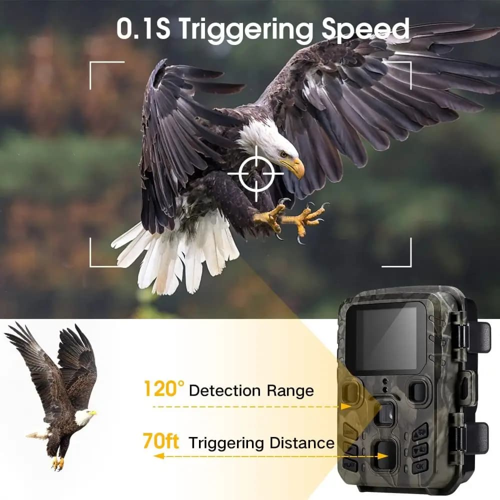 Caméra trappe 24MP vision nocturne infrarouge 0.3s étanche pour observation faune française