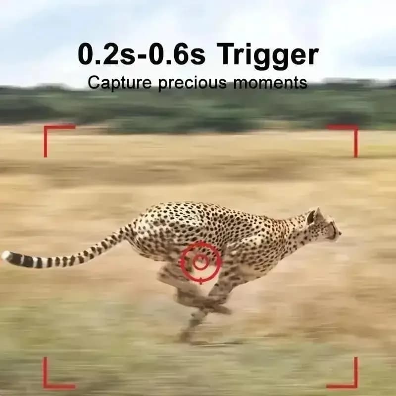 Mini caméra de chasse DL006 étanche HD - Surveillance faune infrarouge reconnaissance extérieure compacte