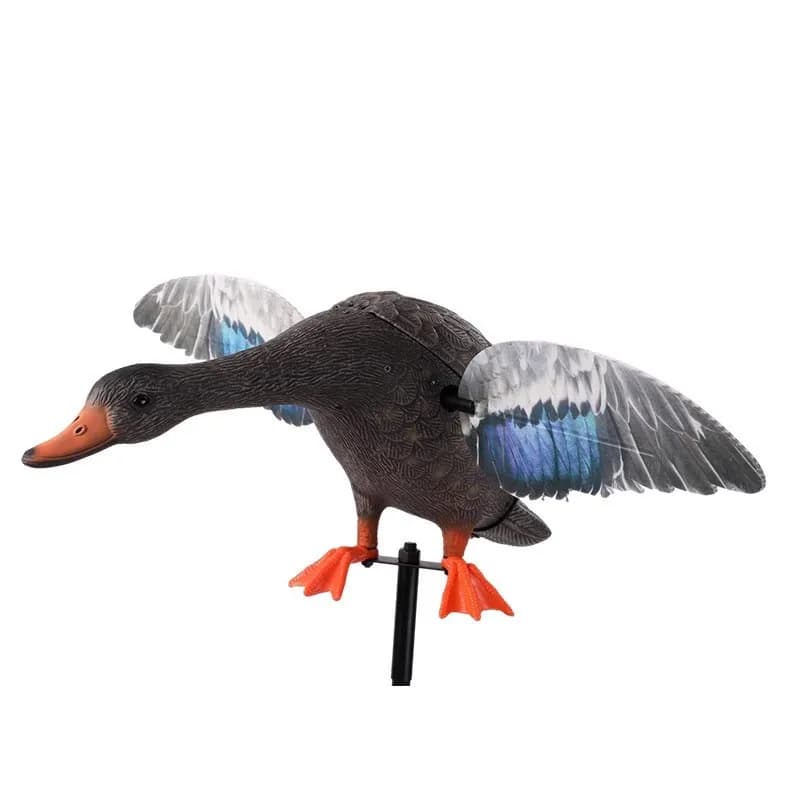 Leurre canard sauvage télécommandé résistant à l'usure - modèle mâle ou femelle pour chasse