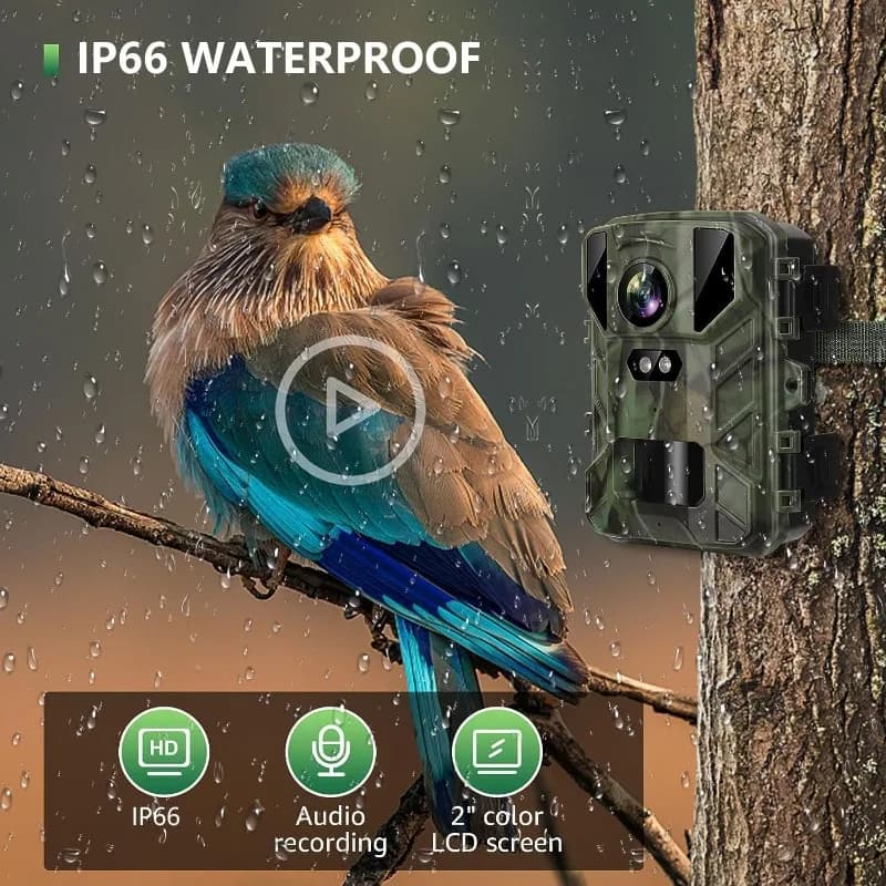 Pack 2 mini caméras faune 24MP 1080P étanches - Observation oiseaux et surveillance jardin compacte