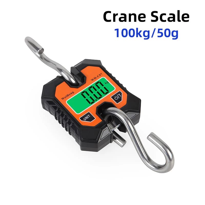 Balance digitale suspendue portable 100kg précision 50g inox pour pêche et usage industriel