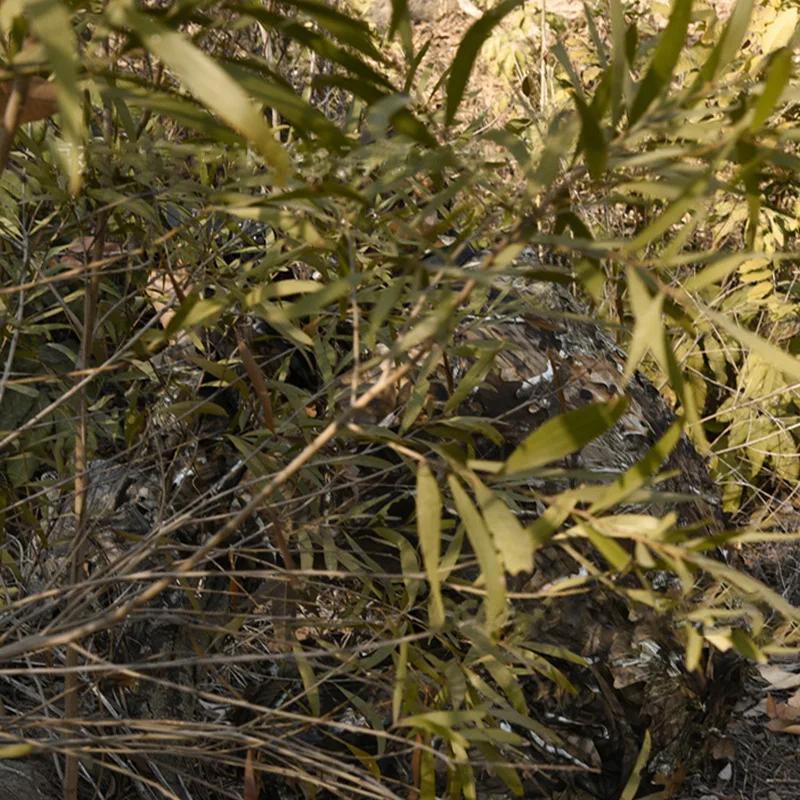 Équipement chasse Ghillie 3D feuilles léger - camouflage sniper airsoft tir pêche extérieur