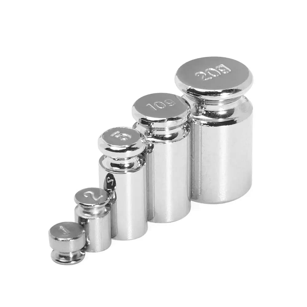 Poids calibration 1g à 100g chromés précision pêche balance étalonnage kit
