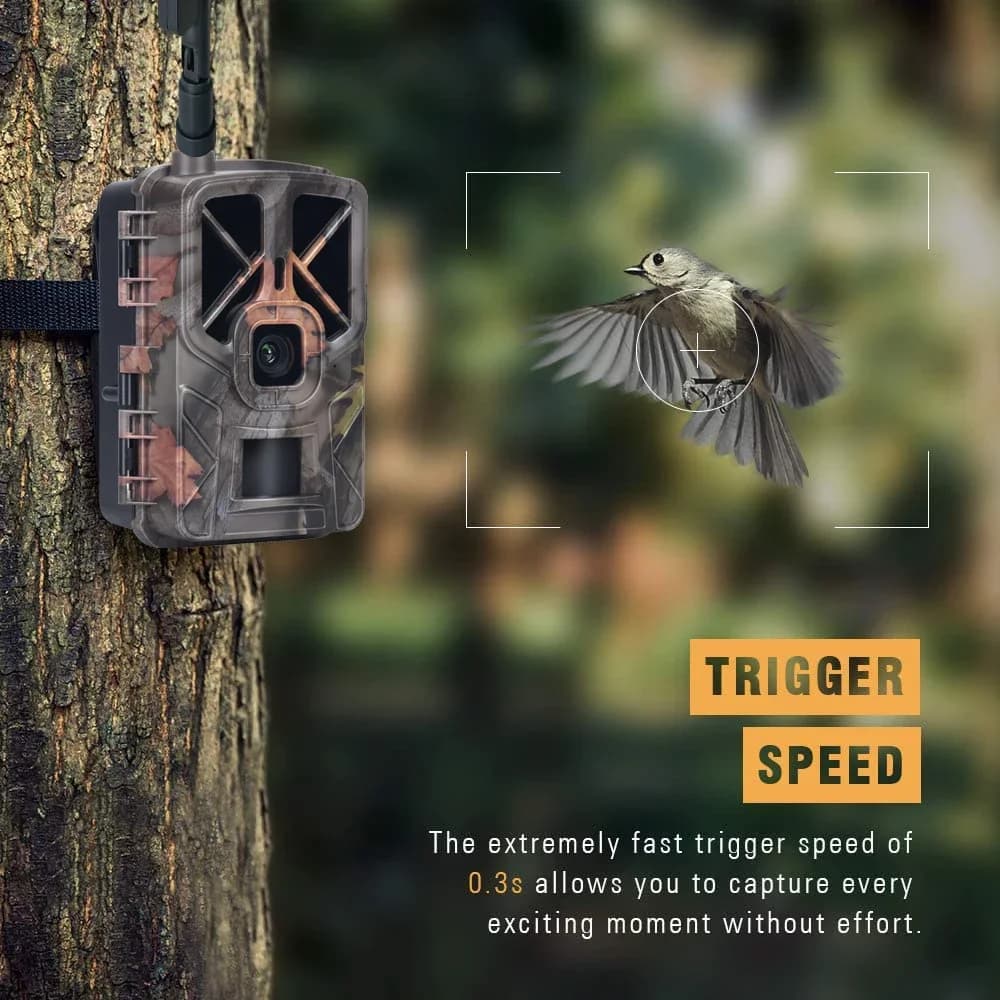 Caméra wildlife 4G 30MP 2.7K étanche IP65 avec application mobile pour contrôle total
