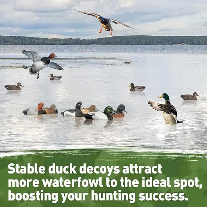 Ensemble leurres canards pour chasse au gibier d'eau - Lignes 3M Outdoors anti-embrouille avec ancres