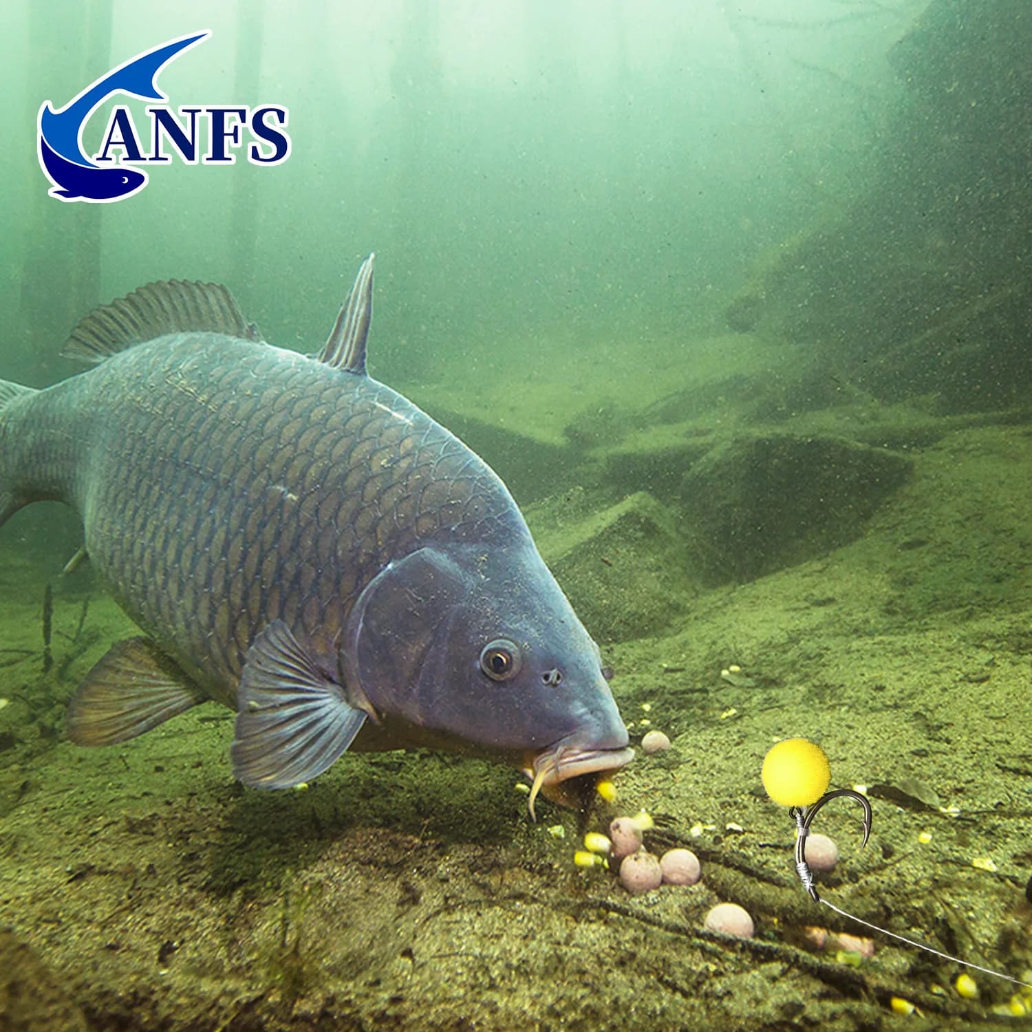Set de 8 montages feeder pour carpe - Matériel de pêche artisanal et équipement angélique