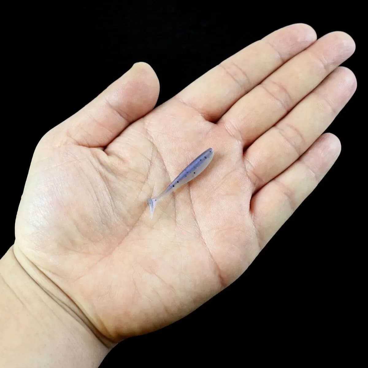 Leurre souple T-tail 50 pièces, appât silicone pour pêche de la perche et du brochet, leurres miniatures