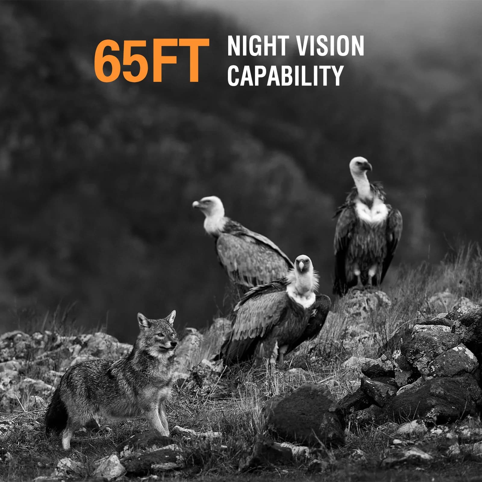 Caméra de chasse 4K 50MP solaire avec angle de détection 120° - Surveillance IP65 étanche