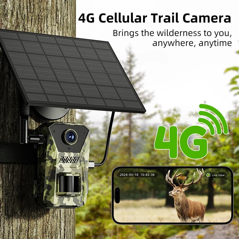 Caméra de chasse 4G solaire étanche vision nocturne streaming vidéo direct surveillance faune