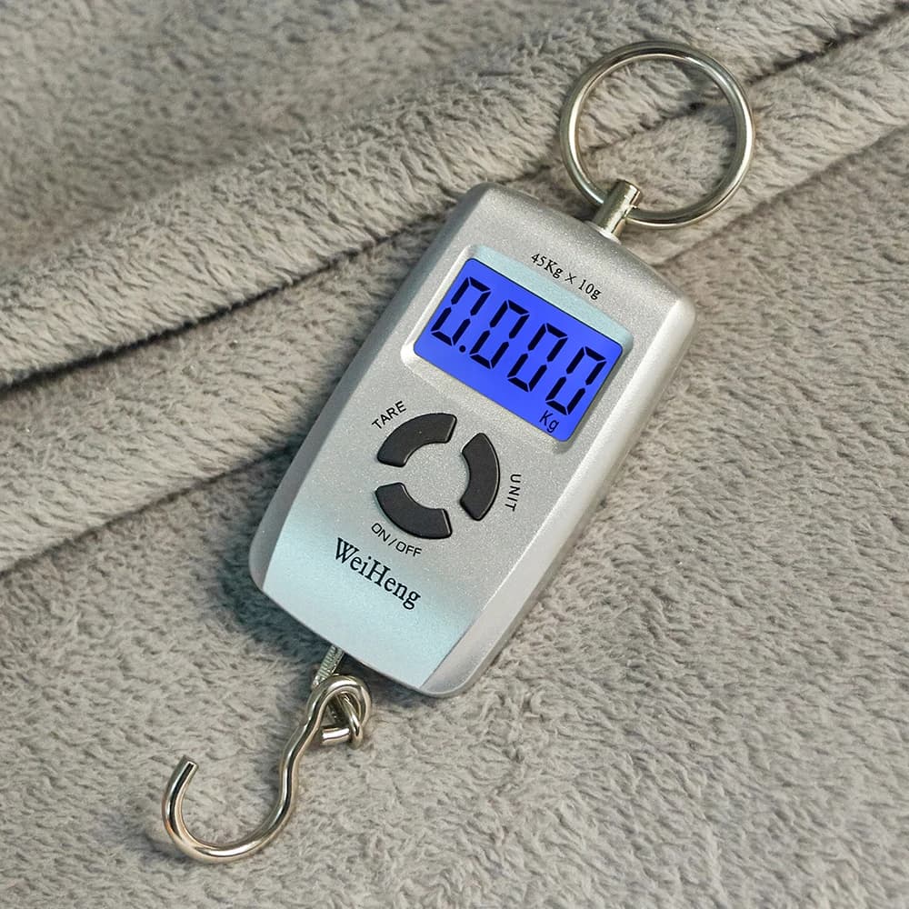 Mini balance électronique portable 45kg/5g pour pêche - Pèse-bagages voyage précis avec crochet