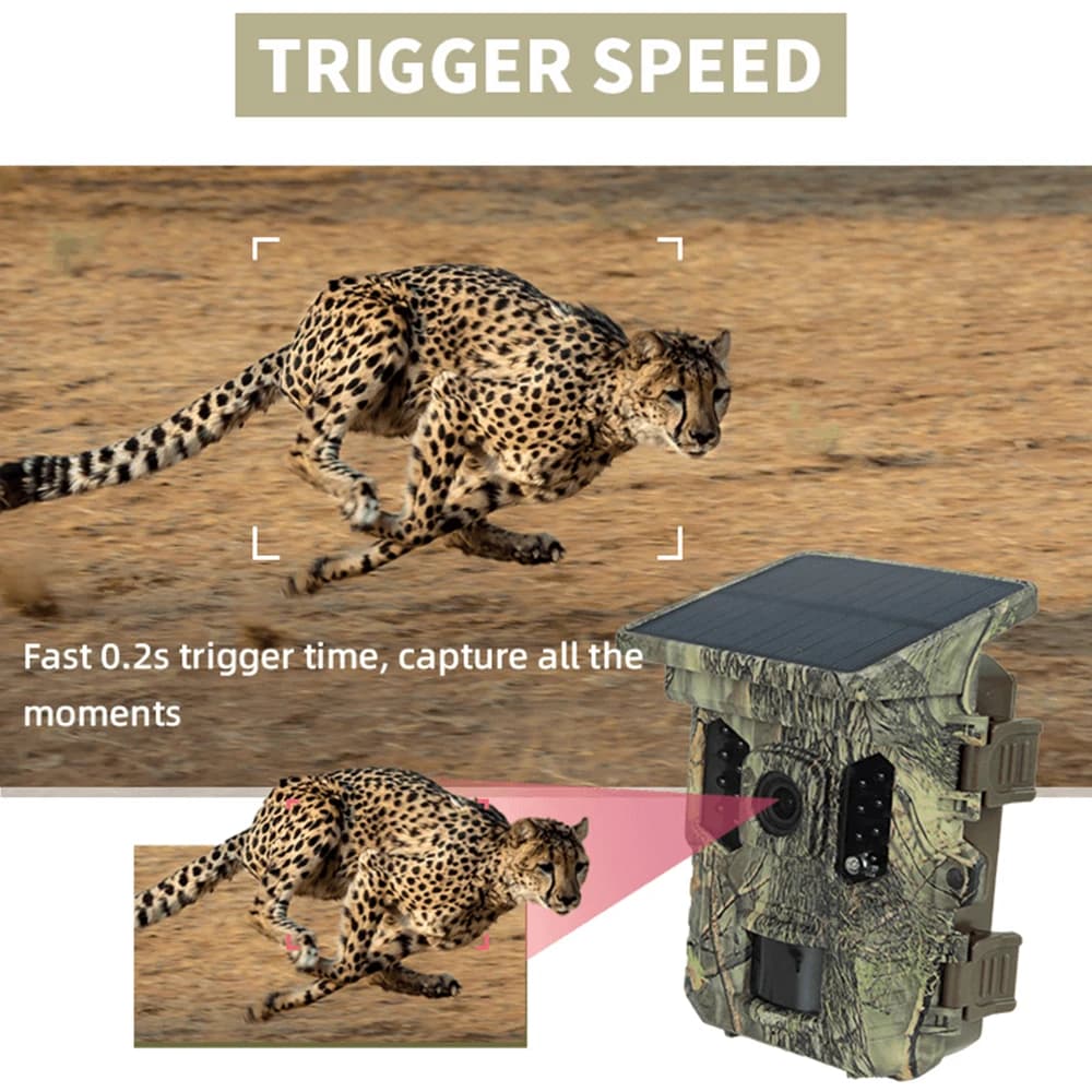 Caméra faune solaire 4K 1080P vision nocturne étanche Bluetooth WiFi app pour chasse connectée 16MP