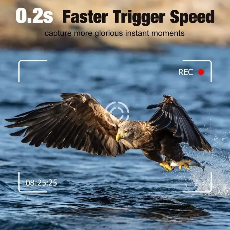 Caméra trail 4G live 4K 120MP avec batterie lithium 8000mAh double objectif étanche IP65