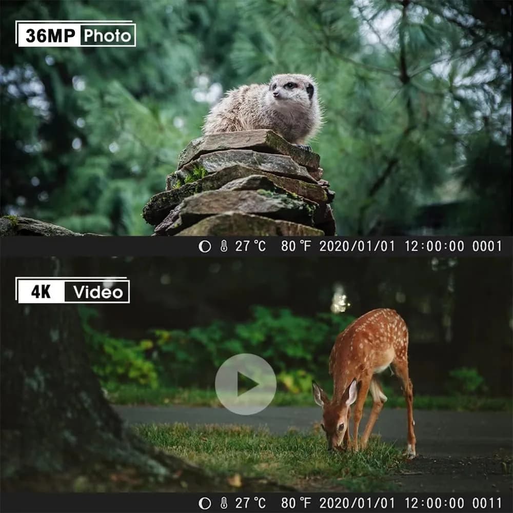 Caméra de chasse Suntekcam 50MP 4K HC-881A avec déclenchement 0.3s vision nocturne infrarouge étanche