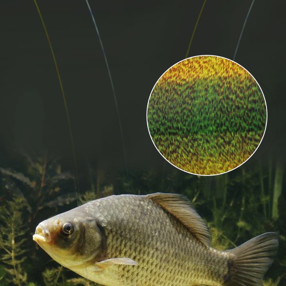 FTK 300-500m ligne pêche invisible tachetée - Ligne fluorocarbone coating 0.14-0.50mm 4-34LB super résistante