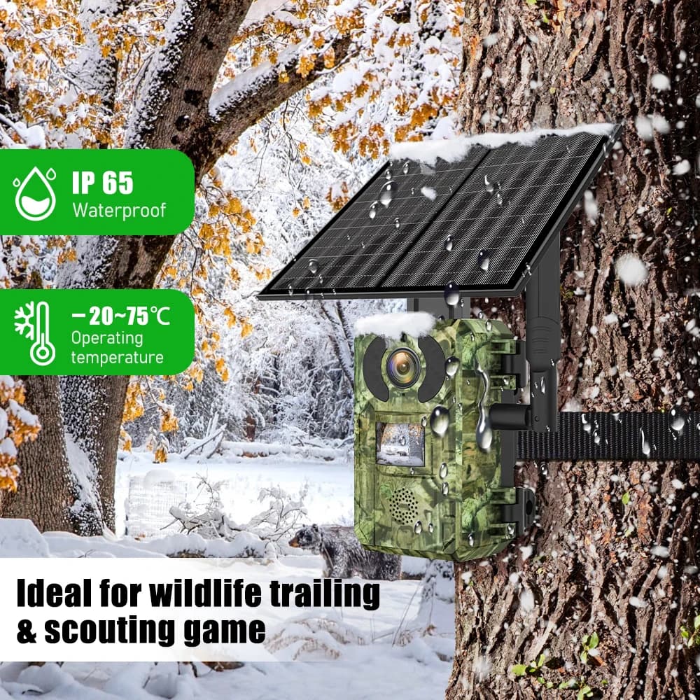 Caméra trail 4G 4MP vision nocturne pour observation faune et repérage zones pêche