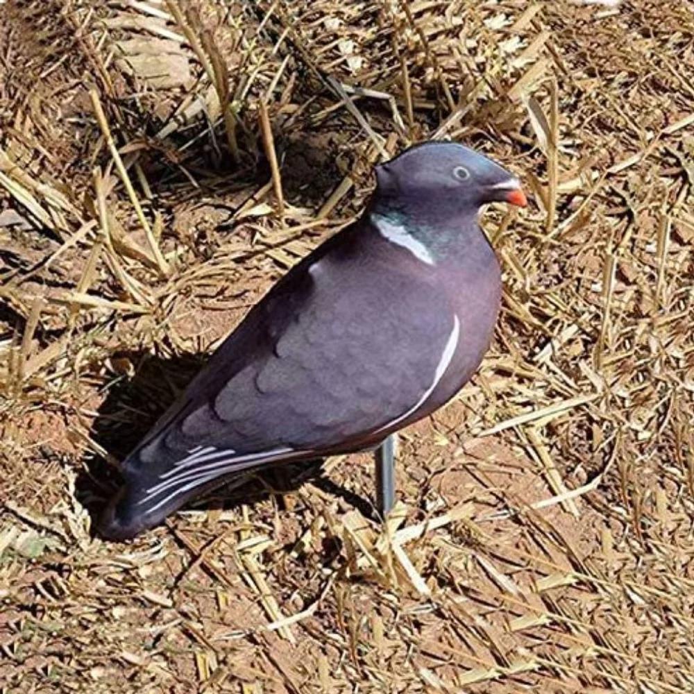 5 ou 10 leurres pigeons 3D réalistes en tissu flexible - appâts pour chasse ou décoration