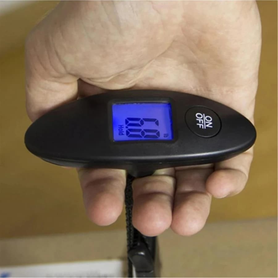 Pèse-bagages numérique portable 40kg pour voyage pêche - Balance électronique LCD avec sangle 100g