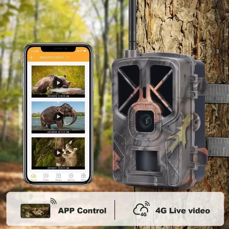 Caméra wildlife 4G 30MP 2.7K étanche IP65 avec application mobile pour contrôle total