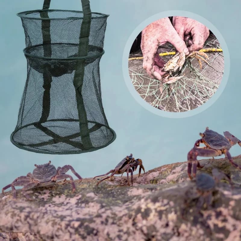 Filet de pêche escamotable pour carpes et anguilles - Équipement parfait pour passionnés de pêche extérieure