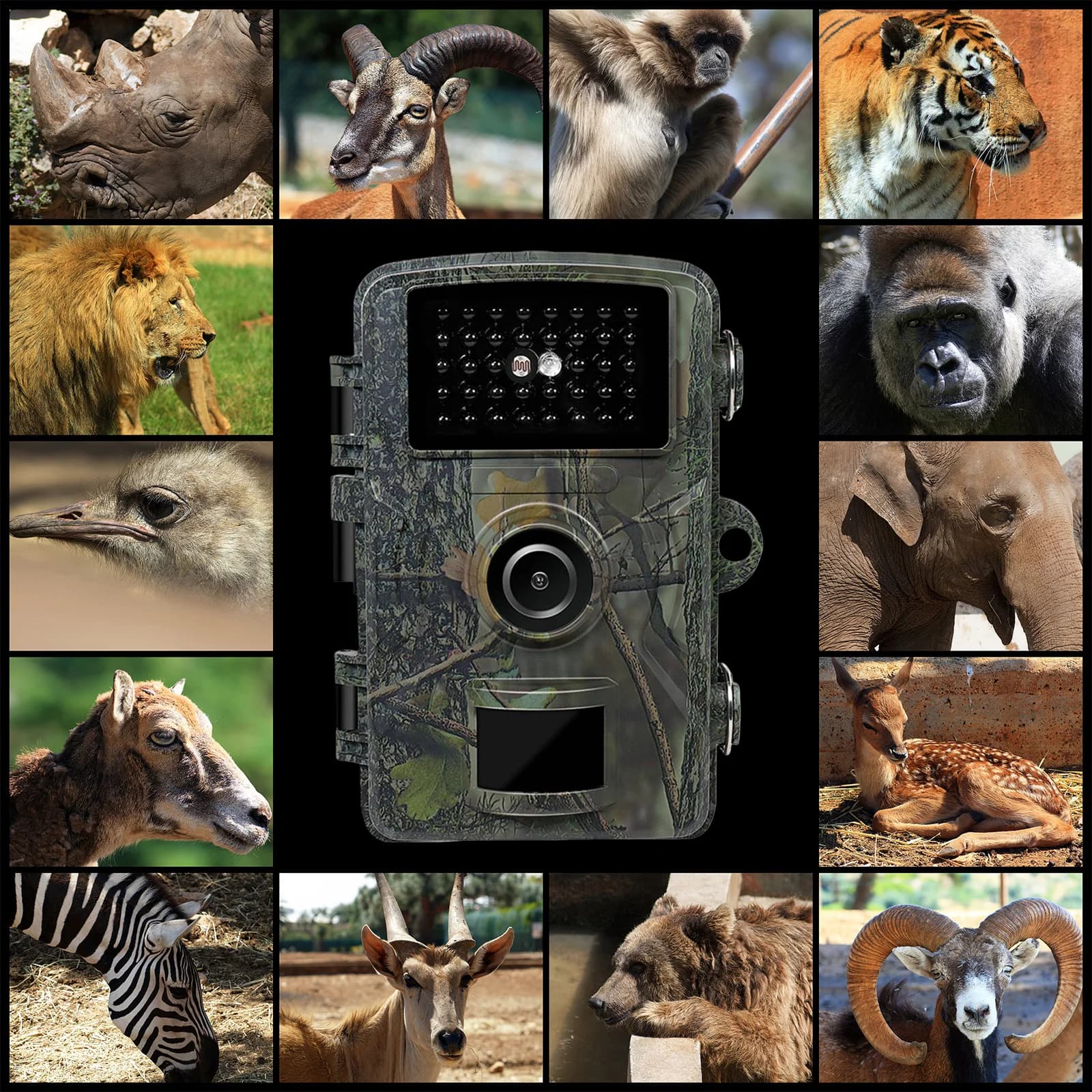 Caméra de chasse extérieure 12MP 1080P étanche IP66 vision nocturne infrarouge surveillance faune