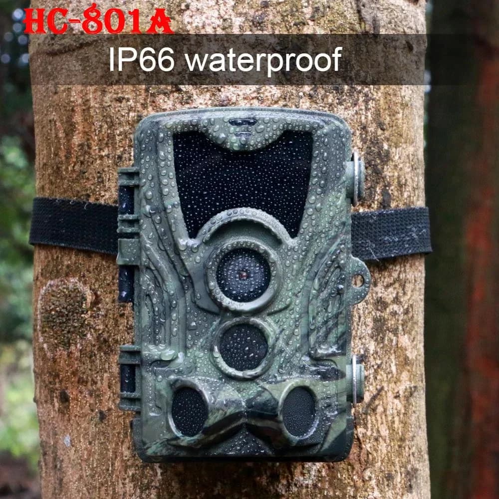 Caméra de chasse HC-801A 20MP HD 1080P vision nocturne étanche pour observation faune et sécurité