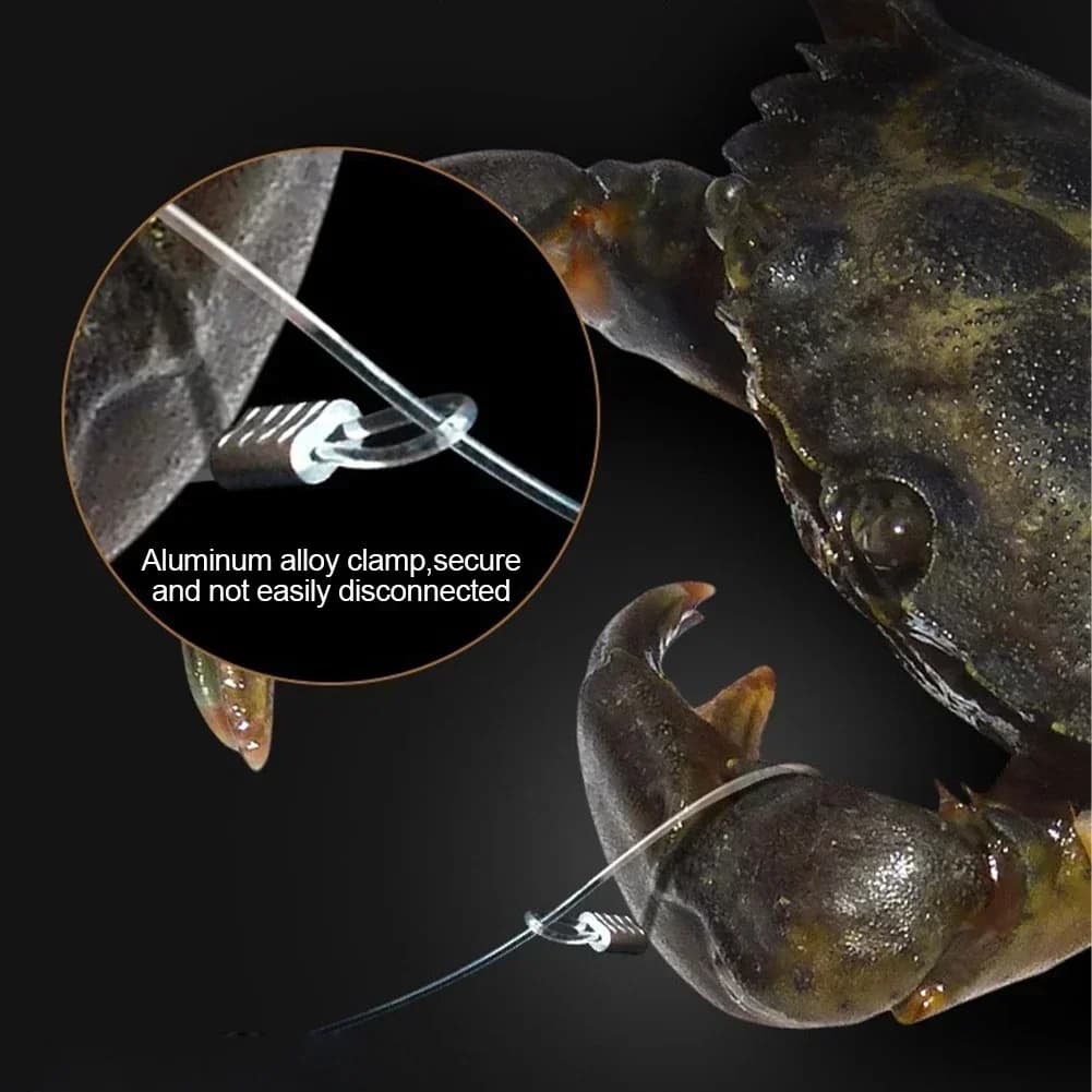 Piège à crabes en acier inoxydable avec appât pour capturer crabes crevettes et écrevisses