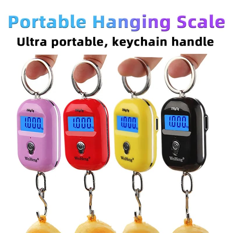 Balance pêche portable 25Kg/10g mini numérique accrocheuse pour bagages voyage clés électronique