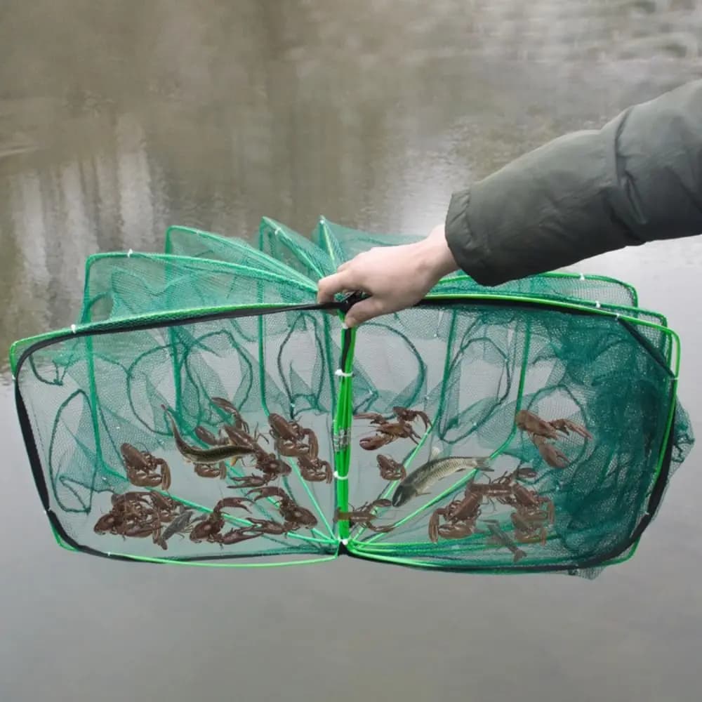 Filet de pêche pliable et durable avec 6 à 10 trous - Cage maille nylon verte